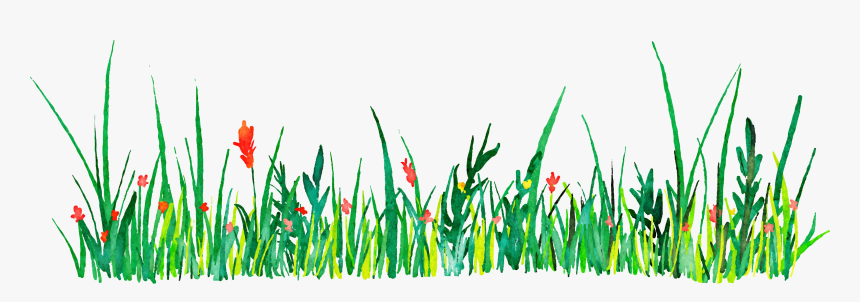Euclidean Vector Icon - Grass Watercolor Png, Transparent Png
