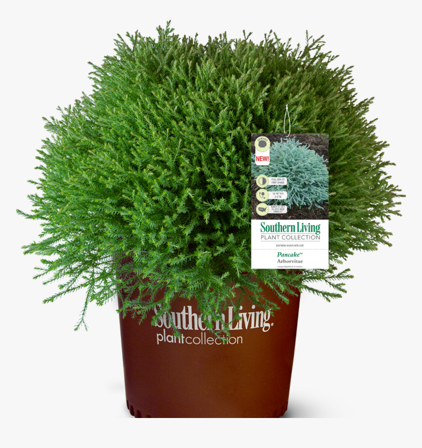 Southern Living, HD Png Download