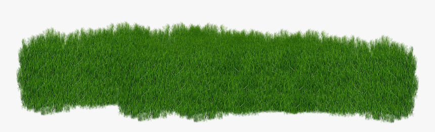 Grass, Green, Plant, Green Grass, Nature - Green Lawn Png, Transparent Png