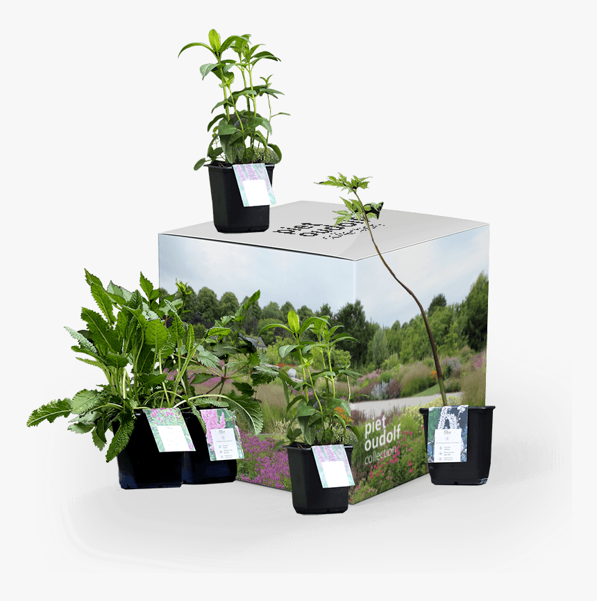 Flowerpot, HD Png Download