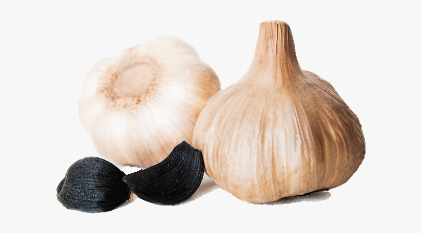 Ajo копейск. грибовский чеснок озимый. долька чеснока. Ajo копейск. яровой чеснок.