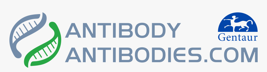 Graphics, HD Png Download