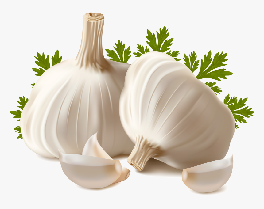 Garlic Png Image - Garlic Png, Transparent Png