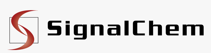 Graphics, HD Png Download