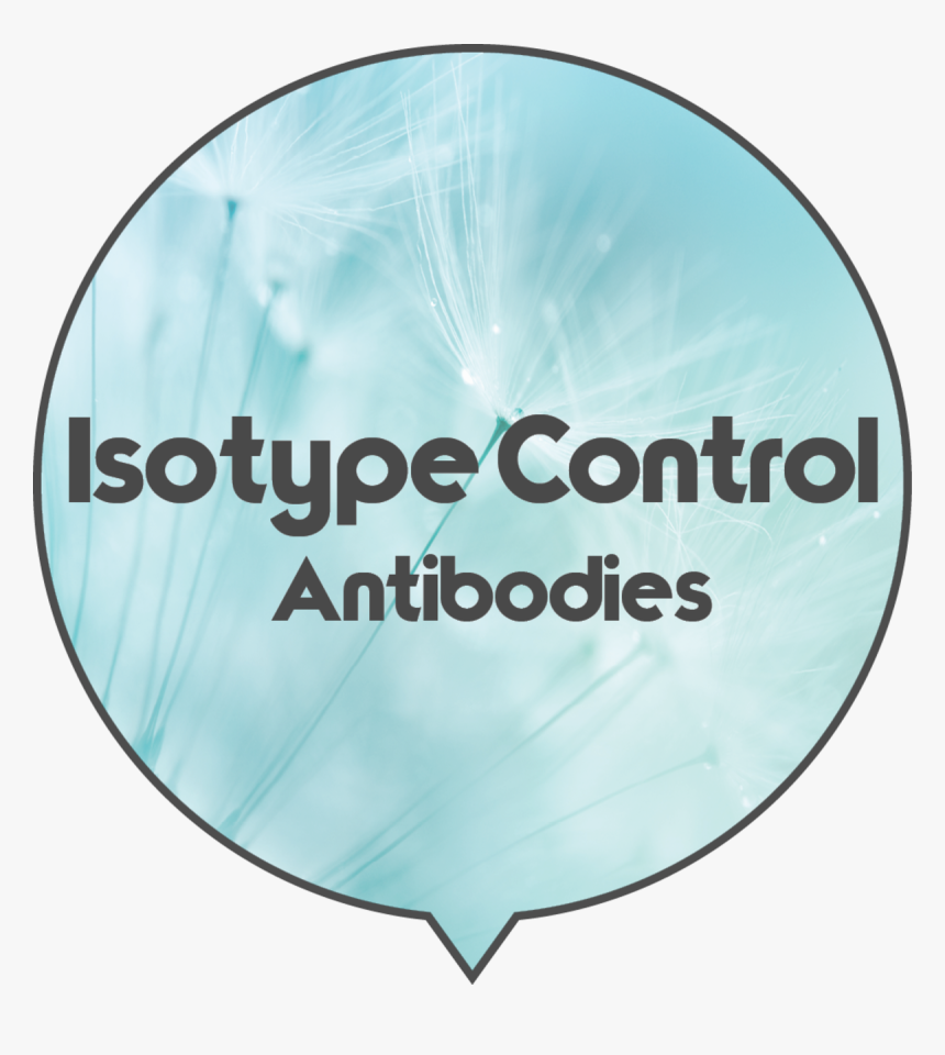 Bio X Cell - Circle, HD Png Download