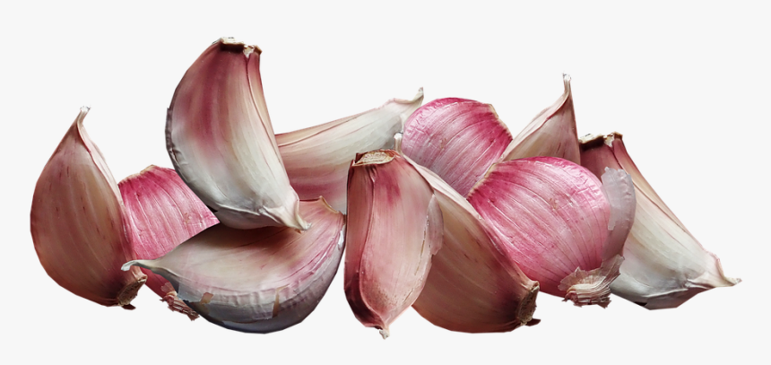 Ajo, Vegetales, Cocinar, La Nutrición, Los Alimentos - Ail Png, Transparent Png