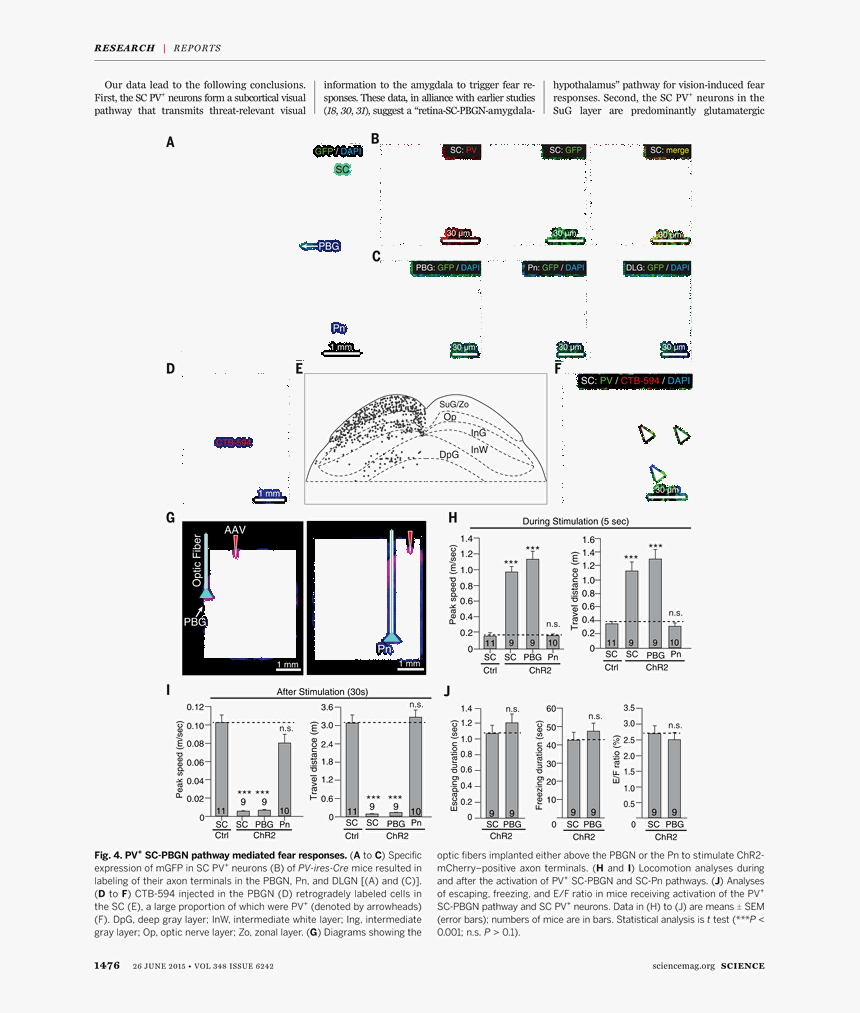 Diagram, HD Png Download