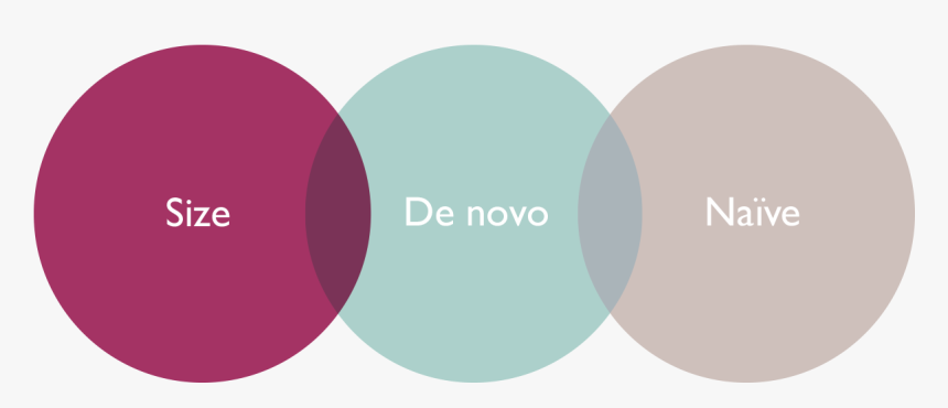 Circle, HD Png Download