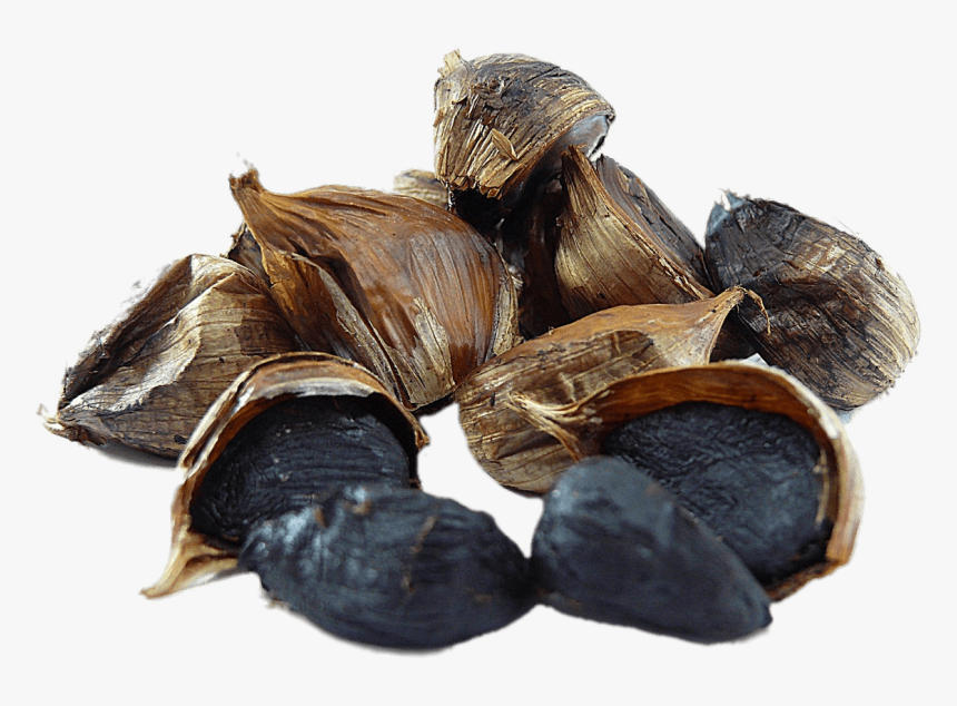Ajo Negro - Black Garlic Png, Transparent Png