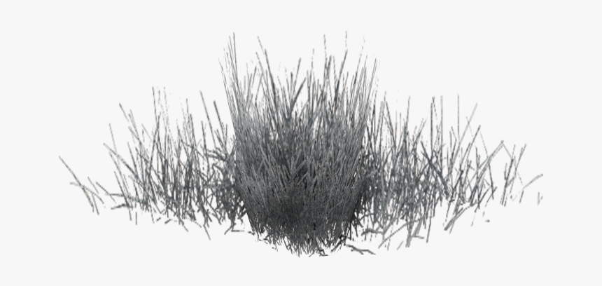 Black White Pattern - Black Color Grass Png, Transparent Png