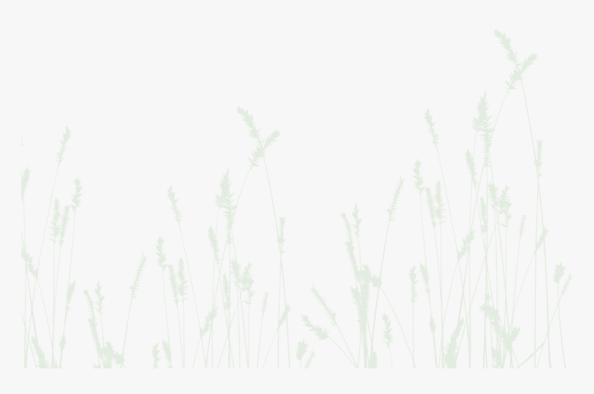 Grass - Épis De Blé, HD Png Download