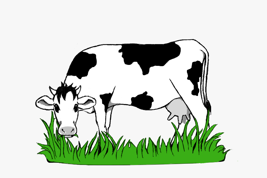 Black And White Stock Collection Of Grazing High Quality - Cow Eating Grass Png, Transparent Png