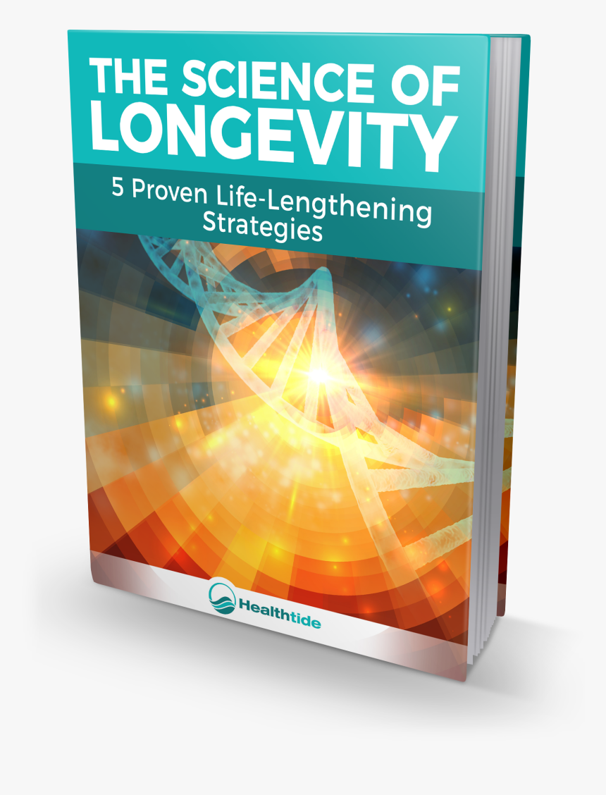 Flyer, HD Png Download