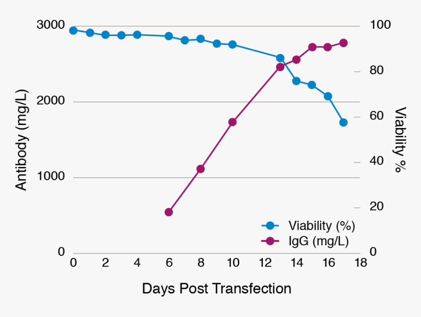 Diagram, HD Png Download