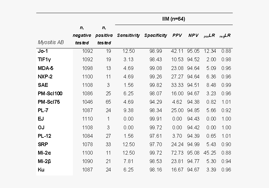 Document, HD Png Download