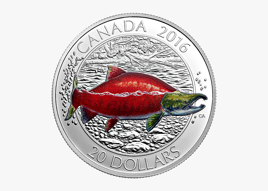 монетка лосось. кельтский лосось. латвия 1 лат 2008 год. монетка лосось. монеты риги.