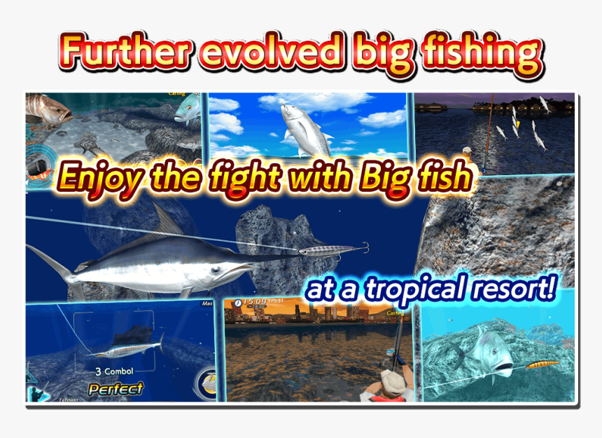 Great White Shark, HD Png Download