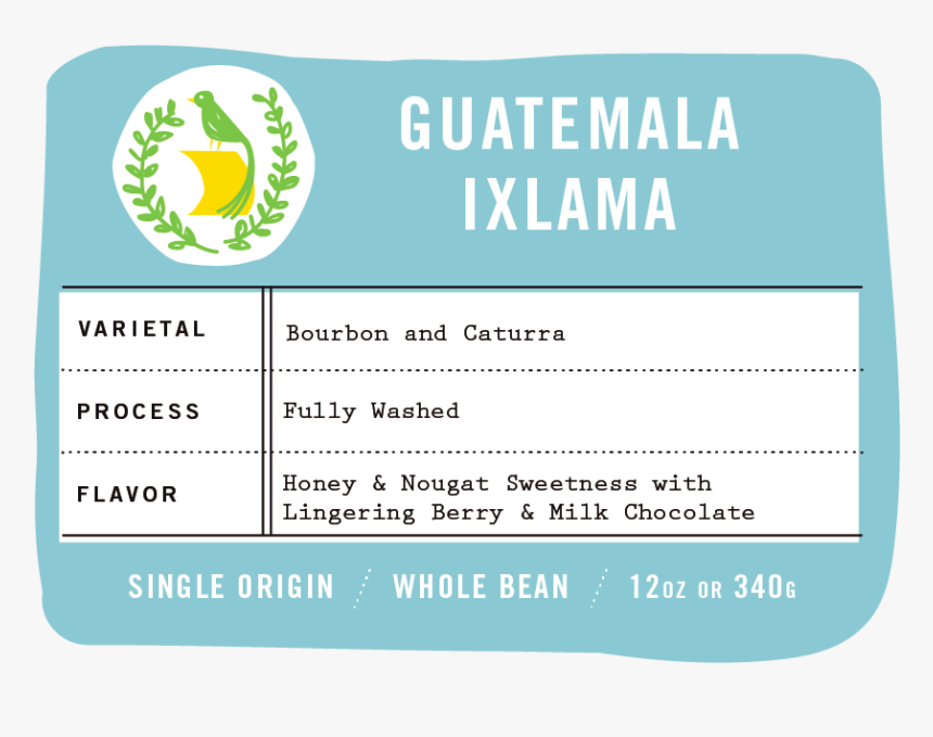 Ixlama - Generation Myspace, HD Png Download