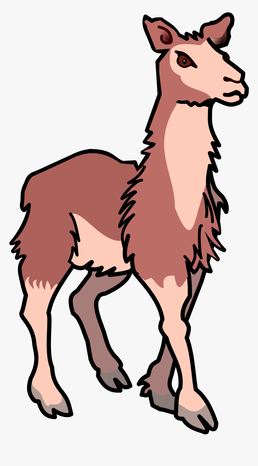 Transparent Lama Png - Llama Clipart Transparent Background, Png Download