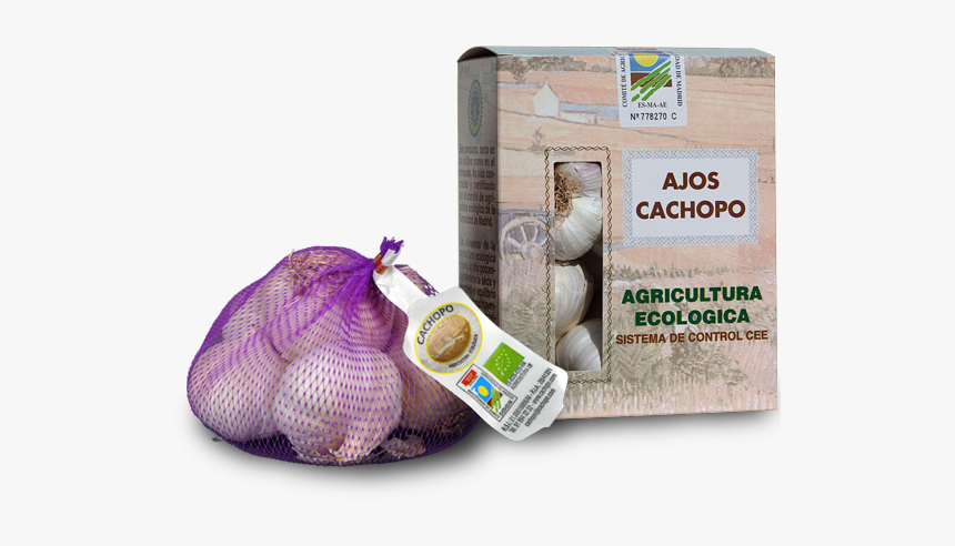 Ajo Morado Ecológico - Agricultura Ecologica, HD Png Download