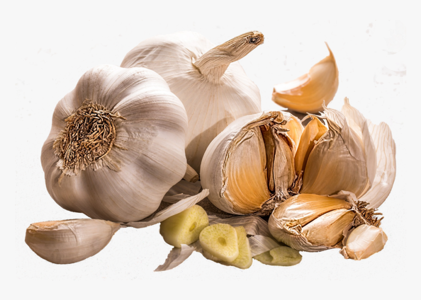 Ajo 20 Health Benefits Of Garlic Hd Png Download Transparent