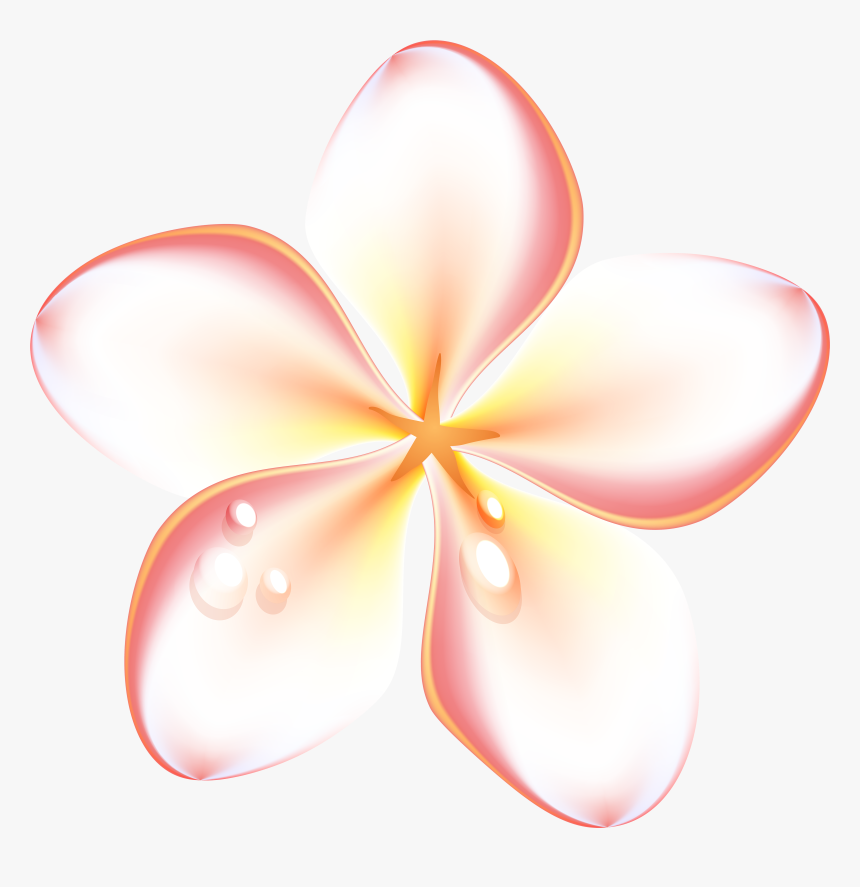 Exotic Summer Flowers Transparent Png Clip Art Image - Summer Flower Png, Png Download
