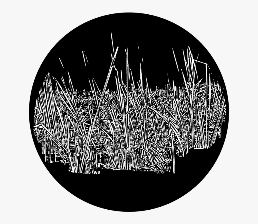 Circle, HD Png Download