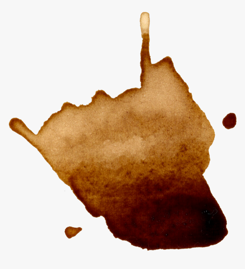 Coffee Splatter Transparent - Coffee Splatters Transparent, HD Png Download