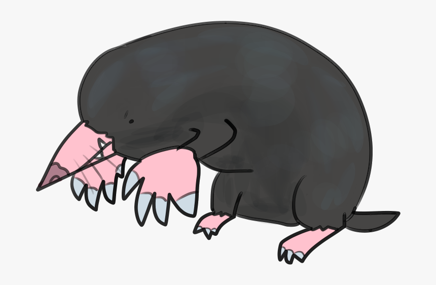 Elephant, HD Png Download