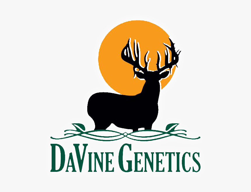 Davine Genetics 2020 Web Logo - Elk, HD Png Download