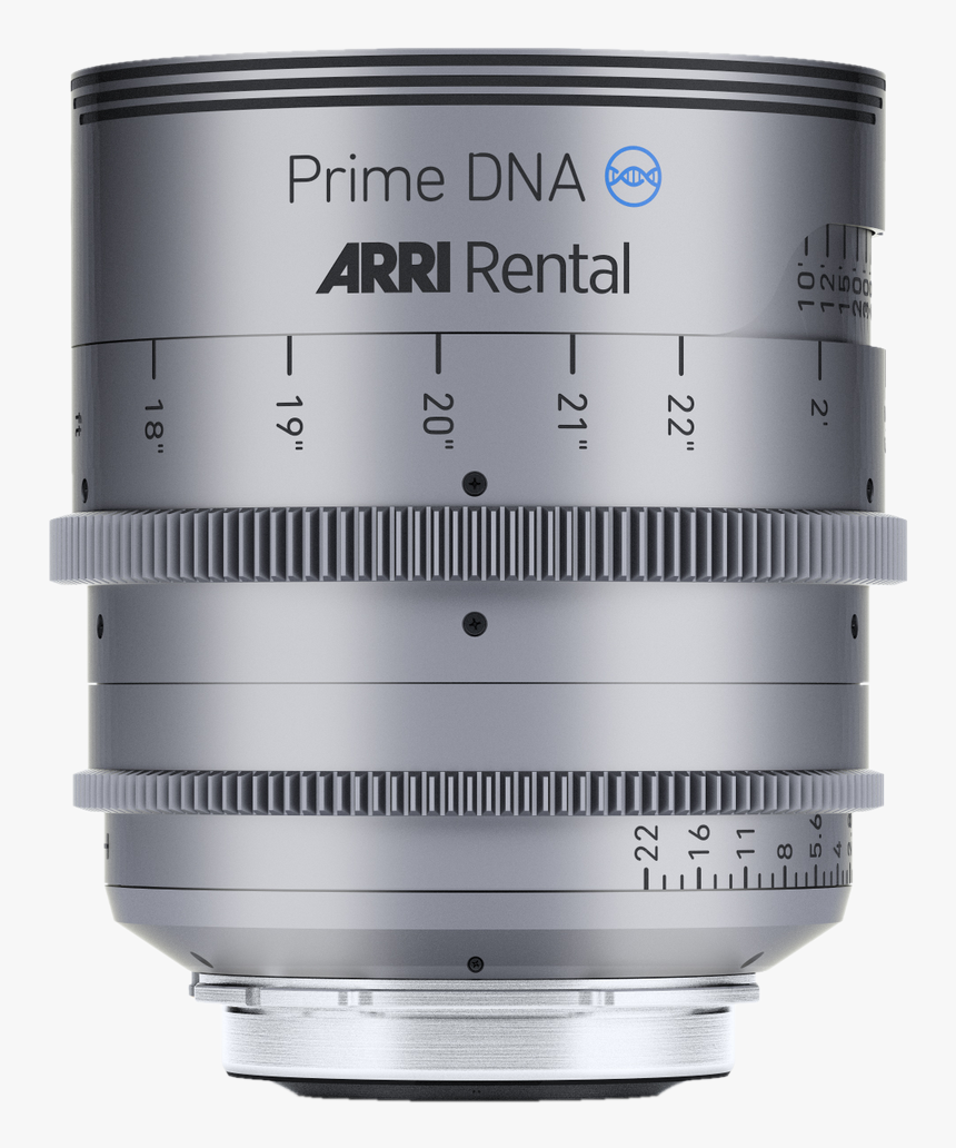 Arri, HD Png Download