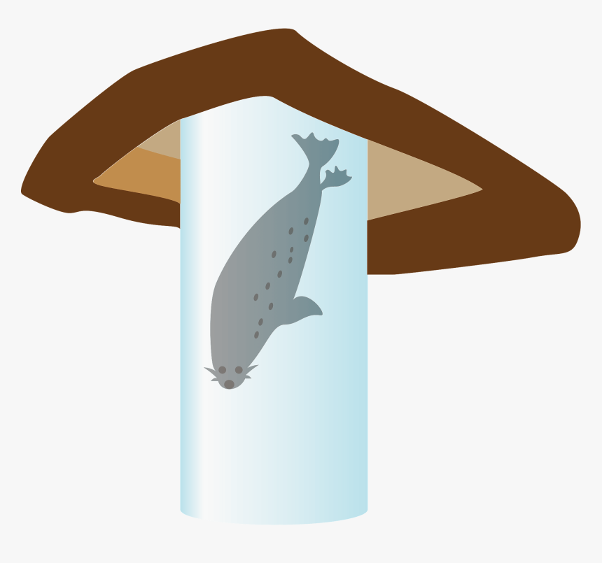 Whale, HD Png Download