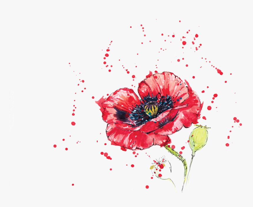 0 Replies 0 Retweets 0 Likes - Corn Poppy, HD Png Download