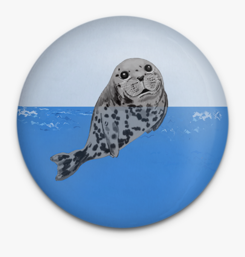 Happy Seals Magnet Set - Harbor Seal, HD Png Download