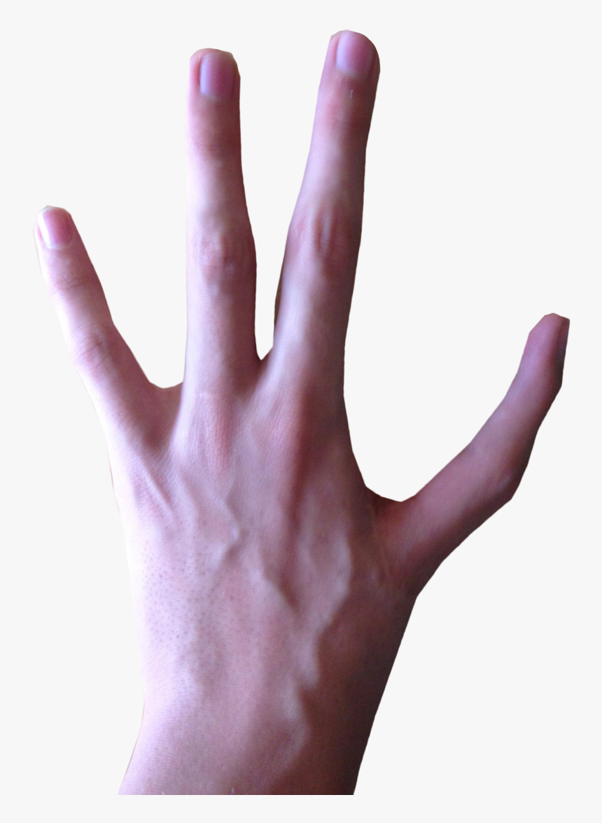 Sign Language, HD Png Download