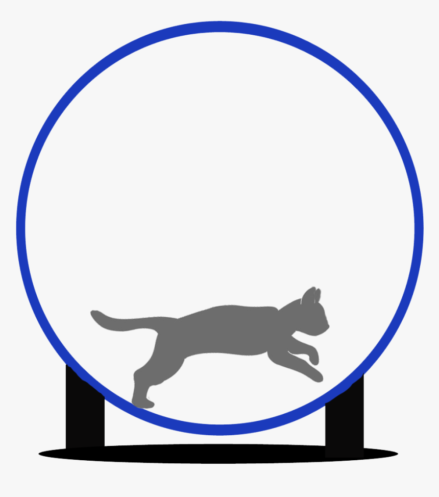 Black Cat, HD Png Download