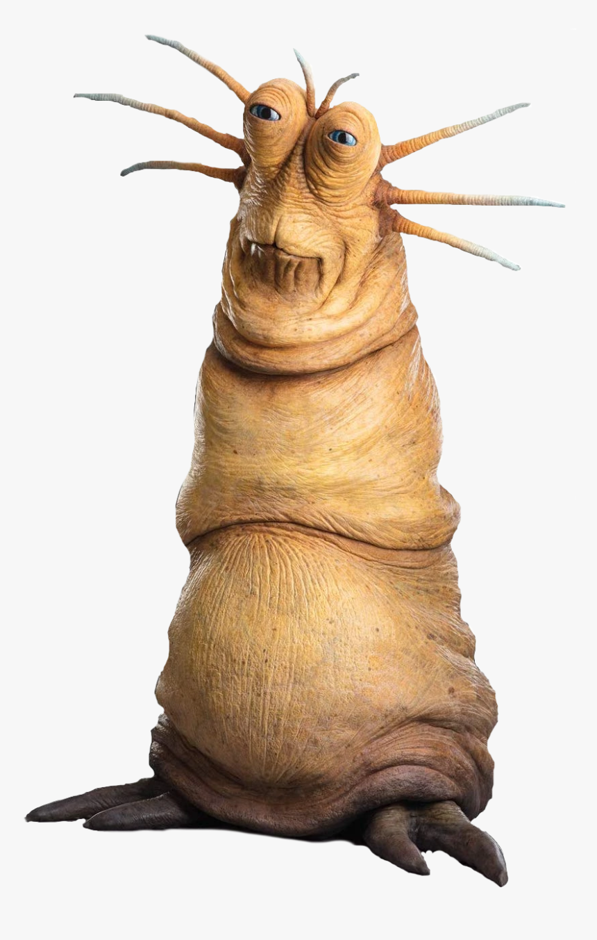 Shrimp, HD Png Download