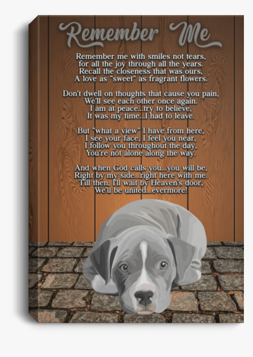 Pit Bull, HD Png Download