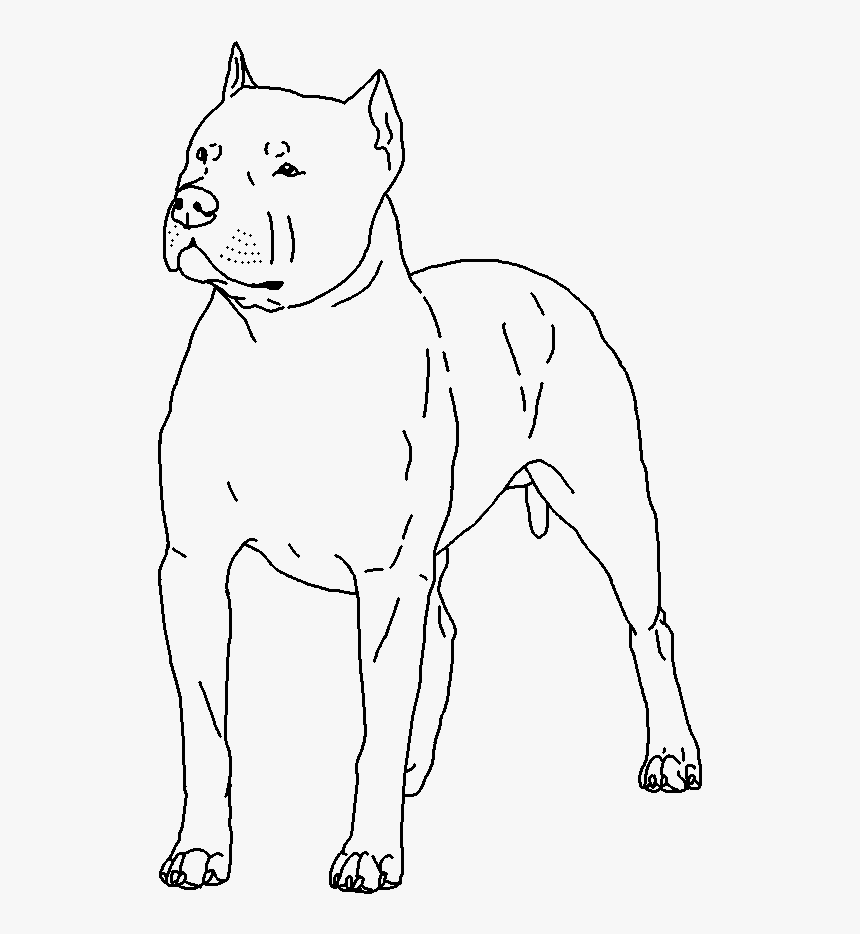 Old English Terrier, HD Png Download