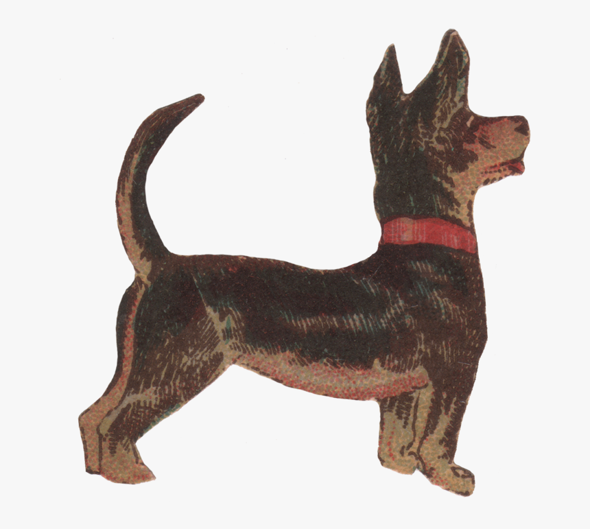 Ancient Dog Breeds, HD Png Download