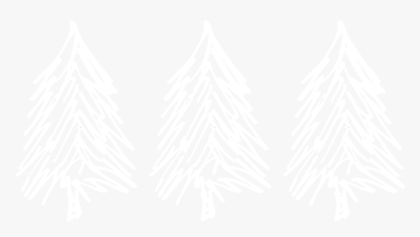 White Triple Tree - White Pine, HD Png Download