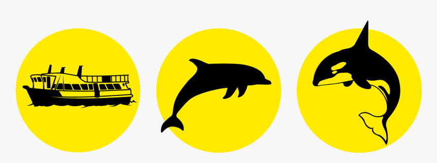 Transparent Cruise Ship Icon Png - Circle, Png Download