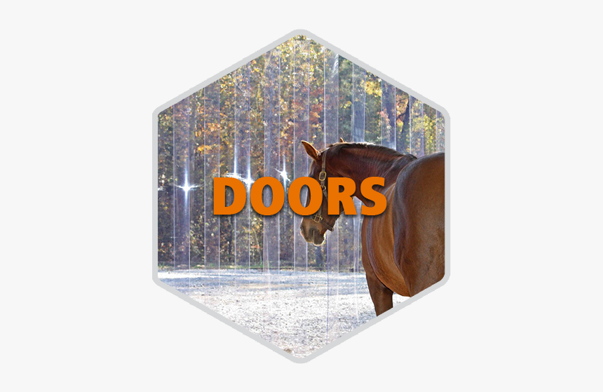 Home Doors Hexagon - Christmas Card, HD Png Download