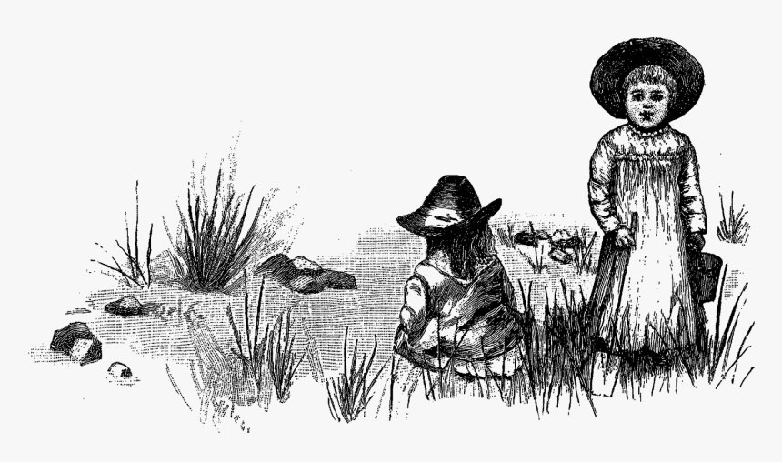 Sketch, HD Png Download