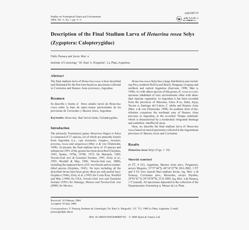 Document, HD Png Download