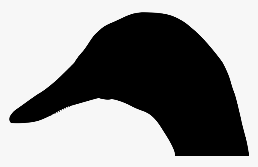 Cetacea, HD Png Download