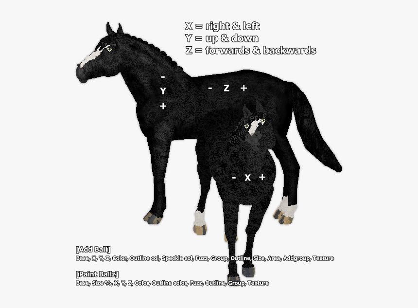 Stallion, HD Png Download