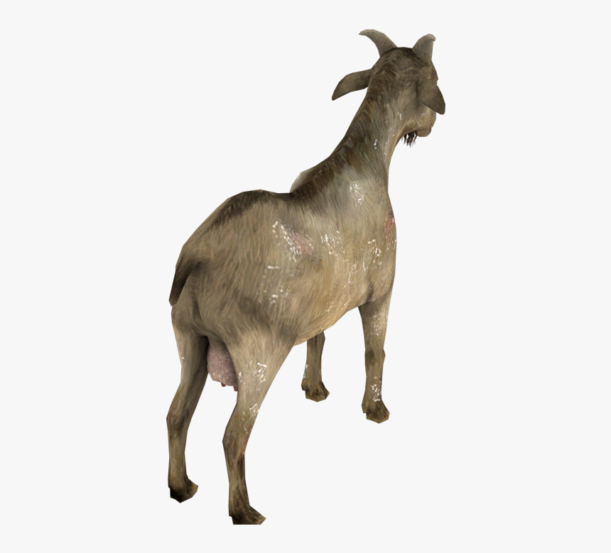 Goat, HD Png Download