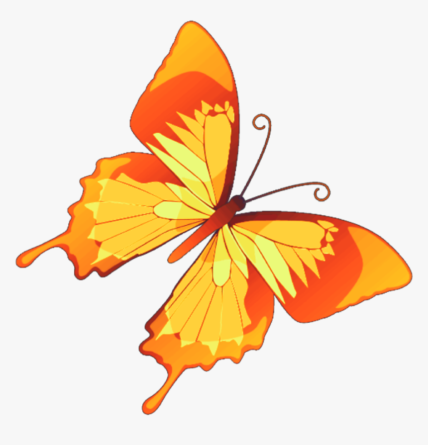 Butterfly Mariposa Diurna Day Diurnal Spring Butterfly Clipart Color Png Transparent Png Transparent Png Image Pngitem
