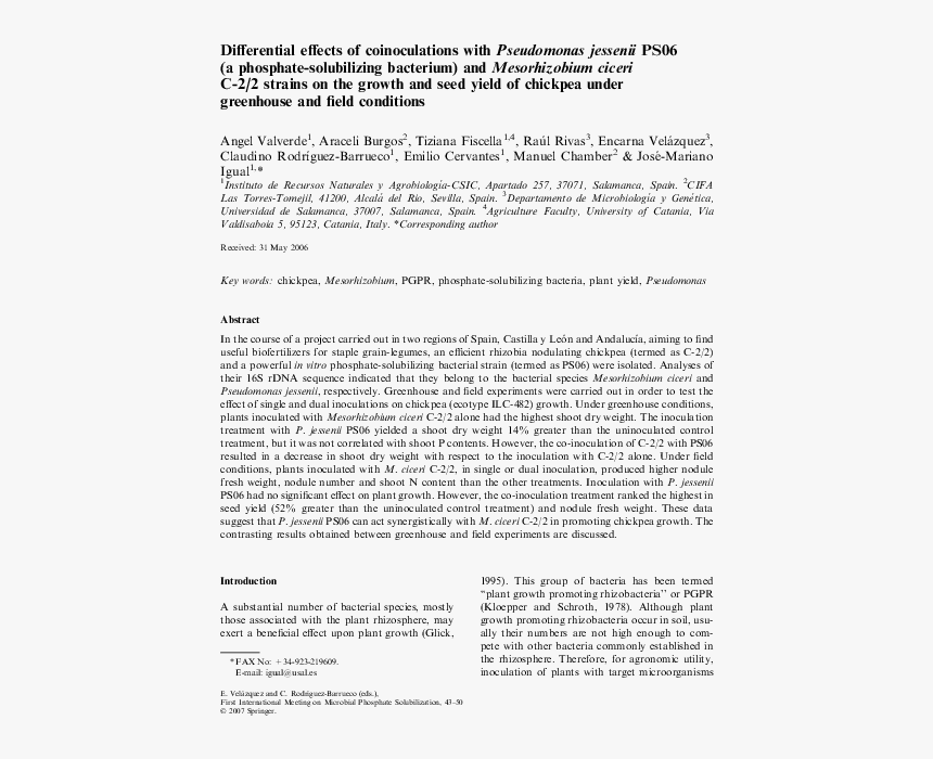 Egyptian Pavilion, Can You See ?, HD Png Download